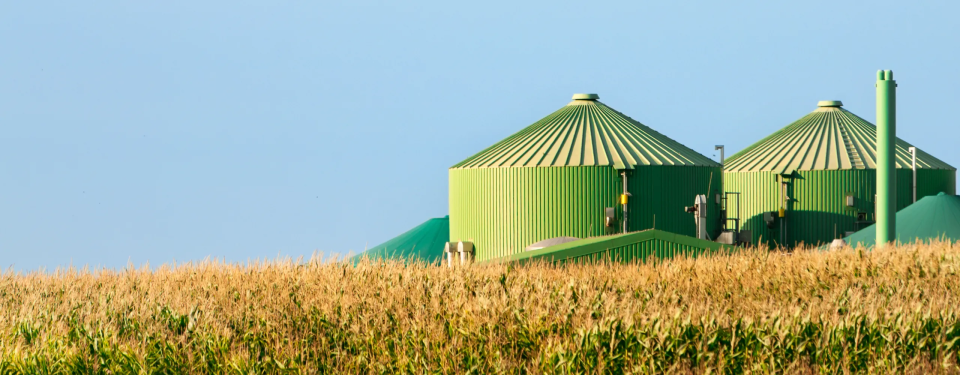 Field with industrial green building